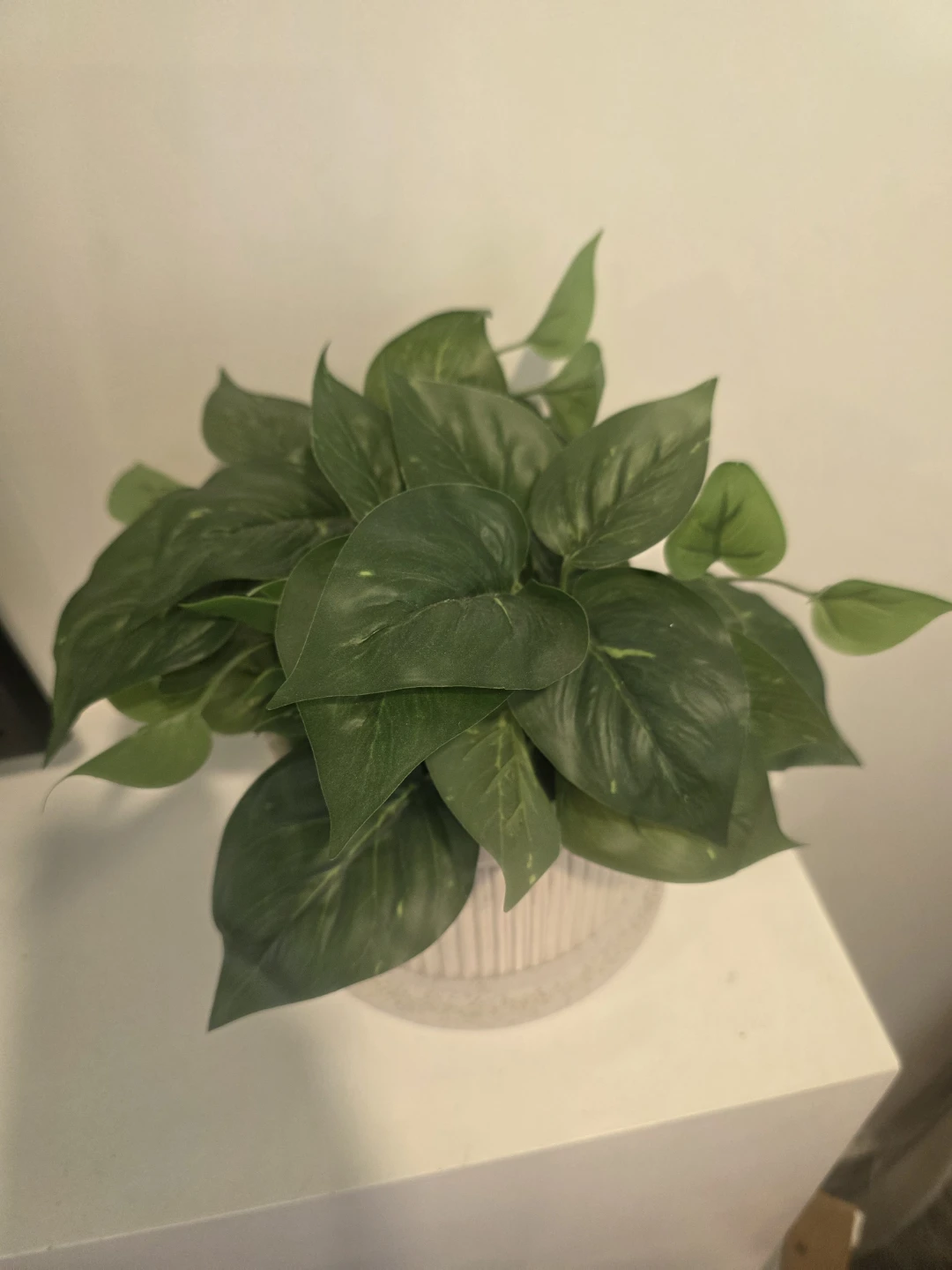 Artificial Pothos Plant in Textured Pot - photo 2