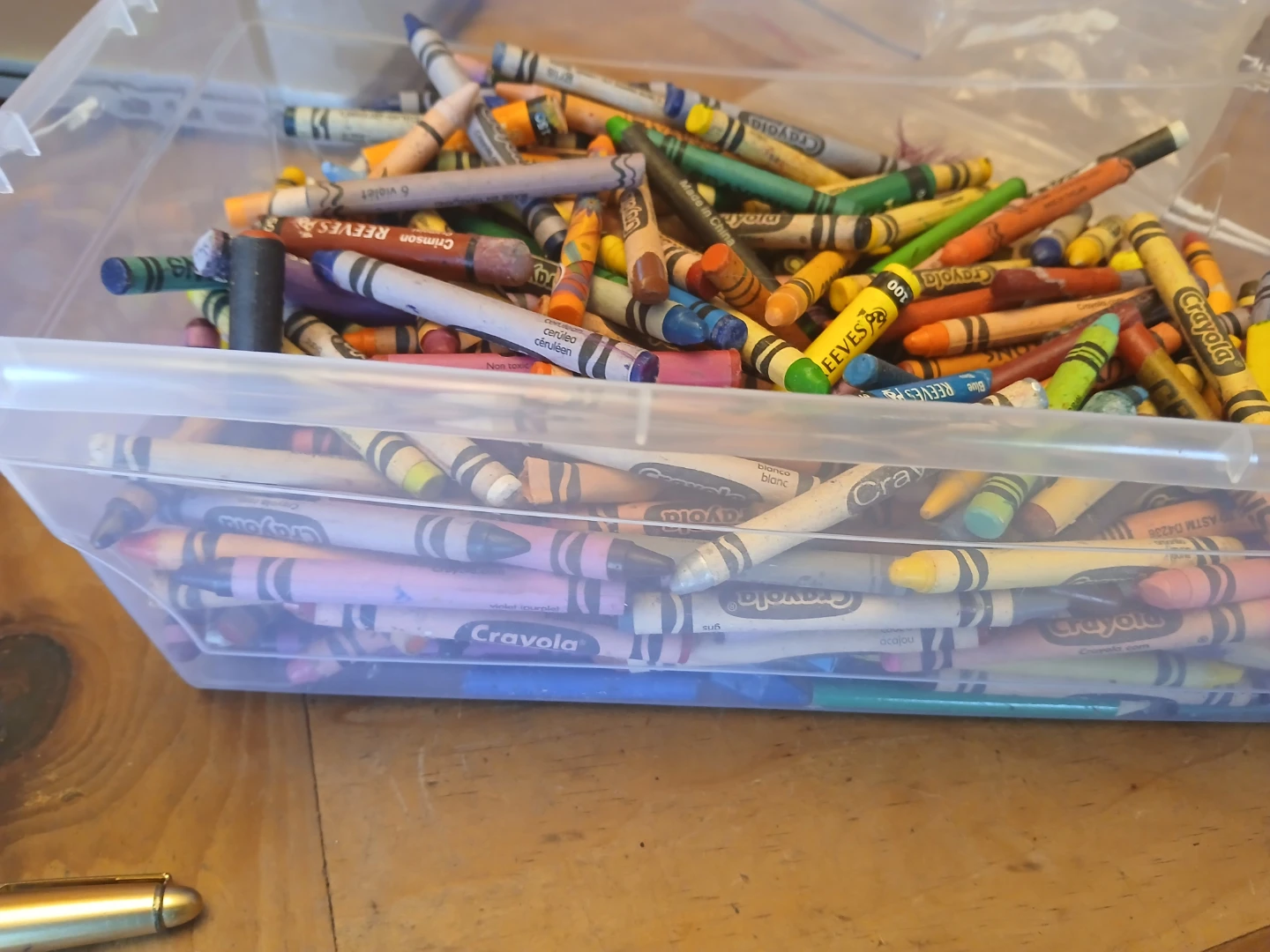 Assorted Crayola and Reeves Crayons in Plastic Case - photo 2