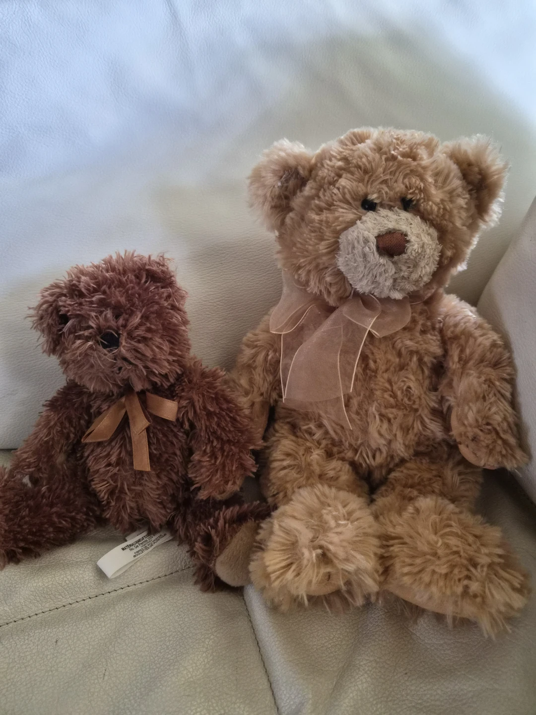 Two teddy bears
