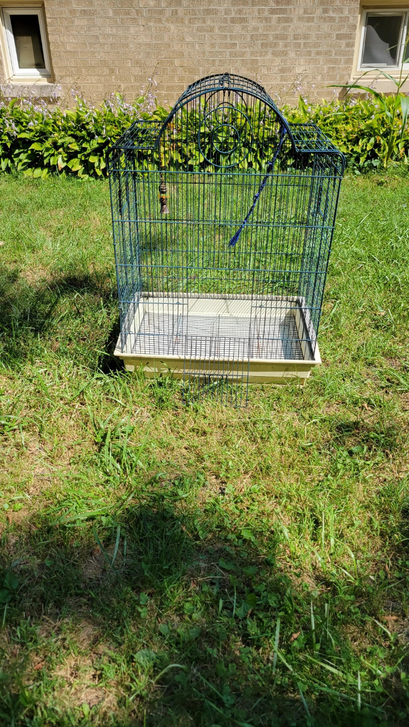 Metal Bird Cage with Cream Tray
