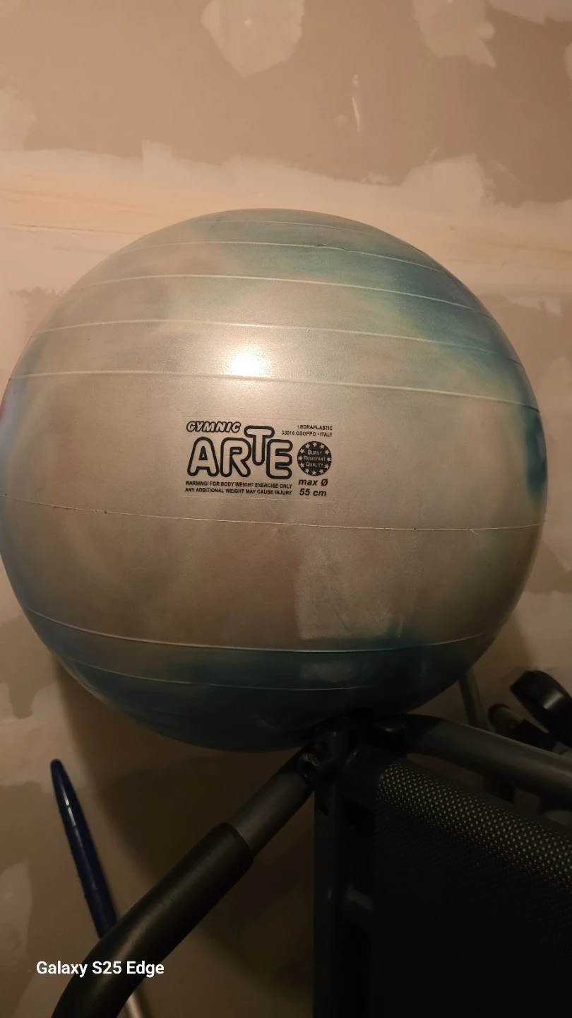 Gymnic Arte Exercise Ball - photo 2