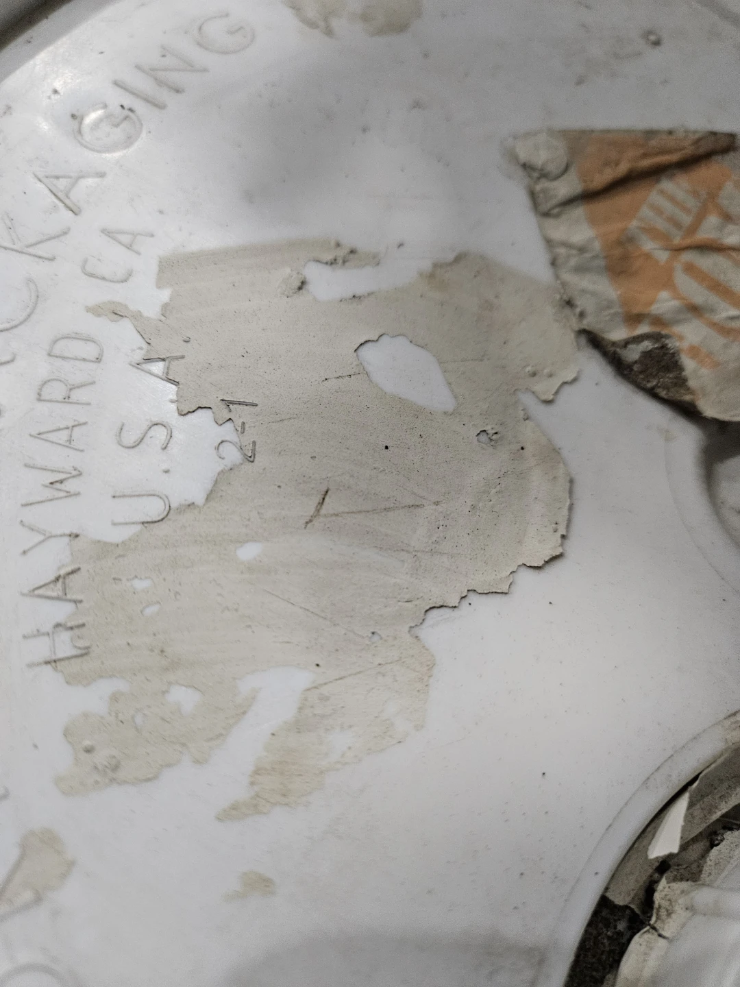 BEHR interior paint and primer. left over. Beige color. - photo 2