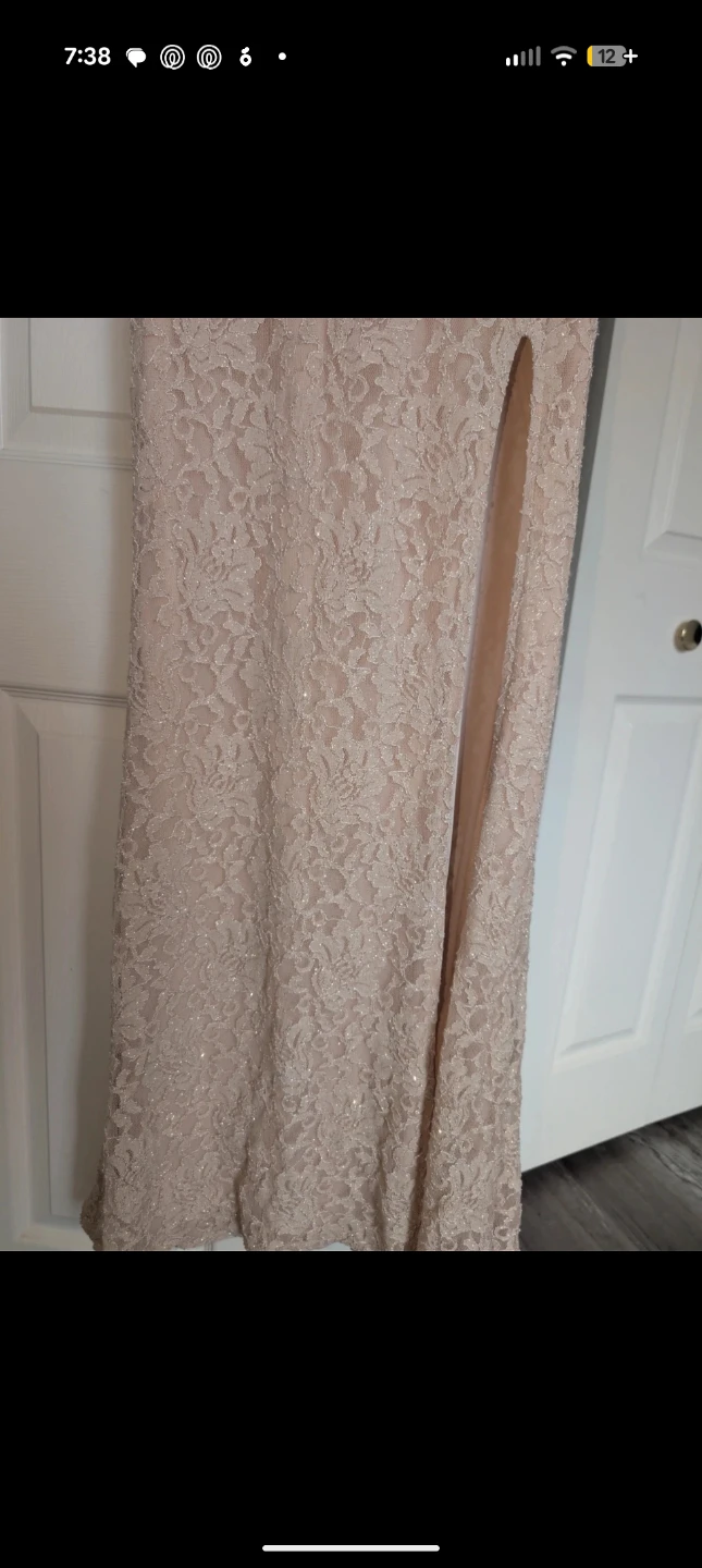 Windsor Nude Lace Gown, Size 5 - photo 3