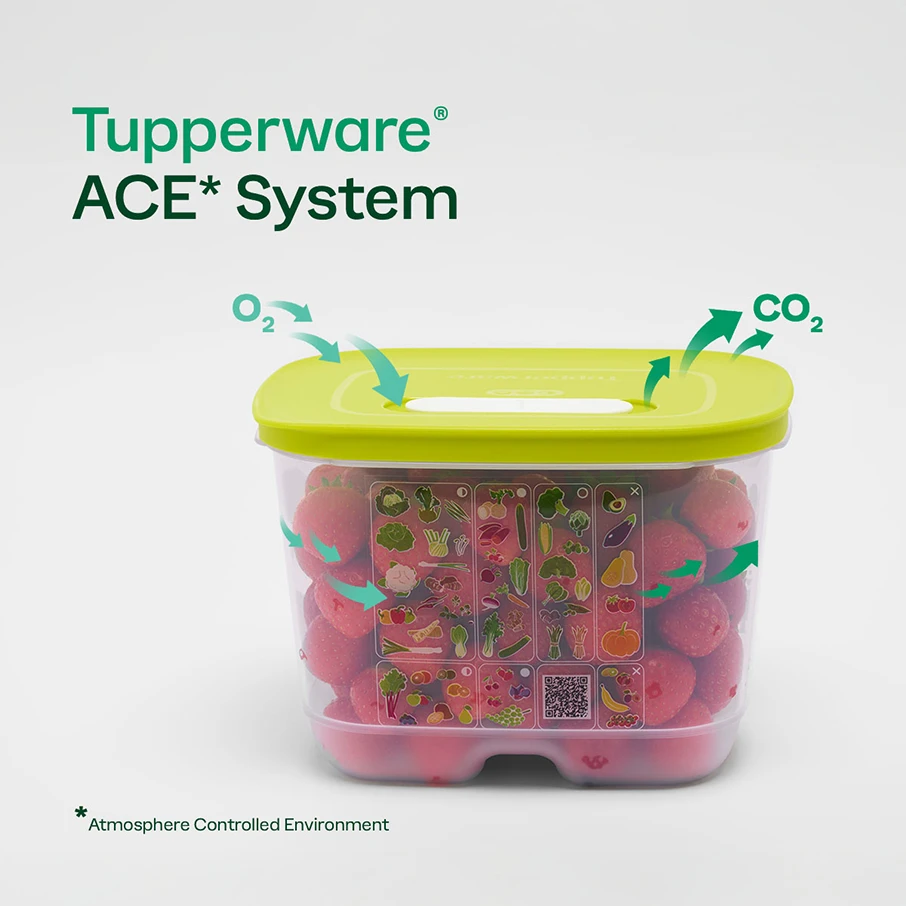 Tupperware® FridgeSmart® Medium Deep - photo 2