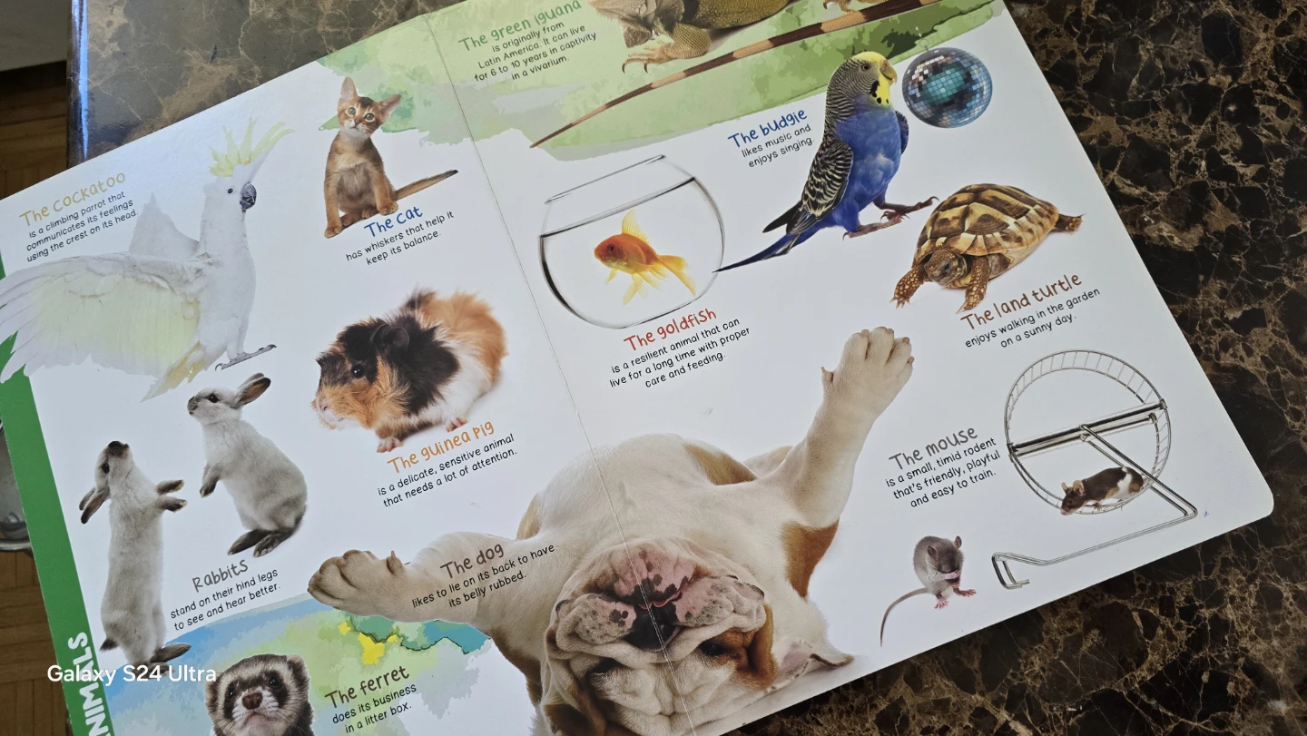My Giant Animal Book Children's Book - photo 2