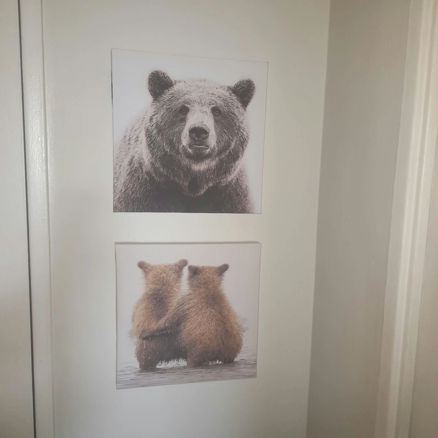 Set of 6 Animal Canvas Wall Art Prints 🏈 - photo 3
