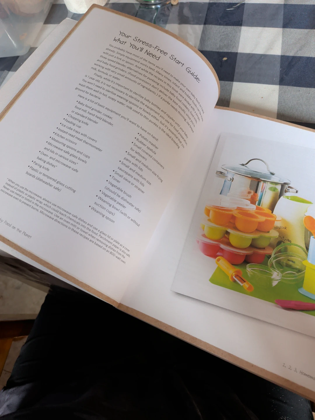 The Best Homemade Baby Food on the Planet Cookbook - photo 4