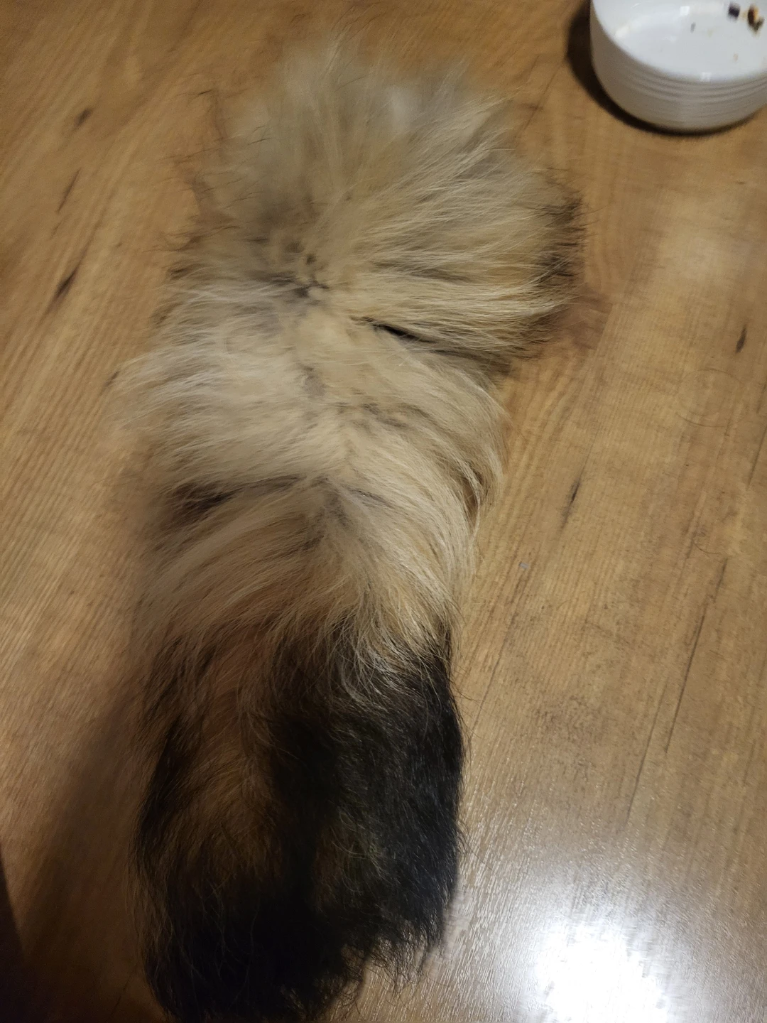 Oddity Tail keychain - photo 2
