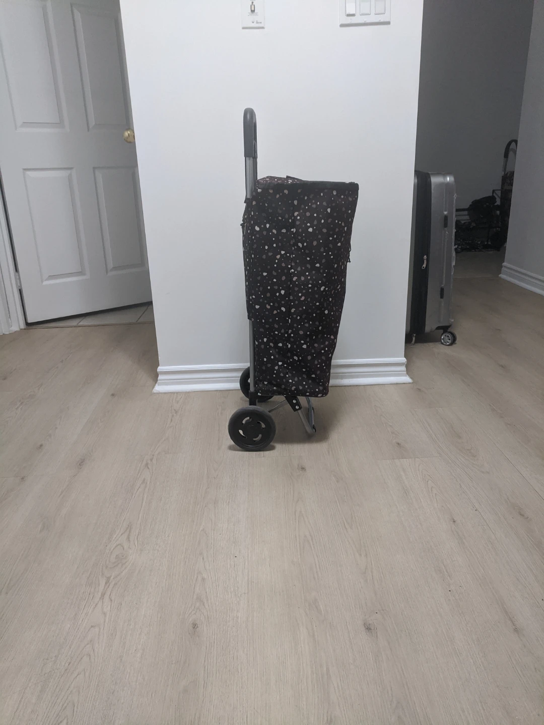 Kitchen Stuff Plus Shopping Cart - photo 2