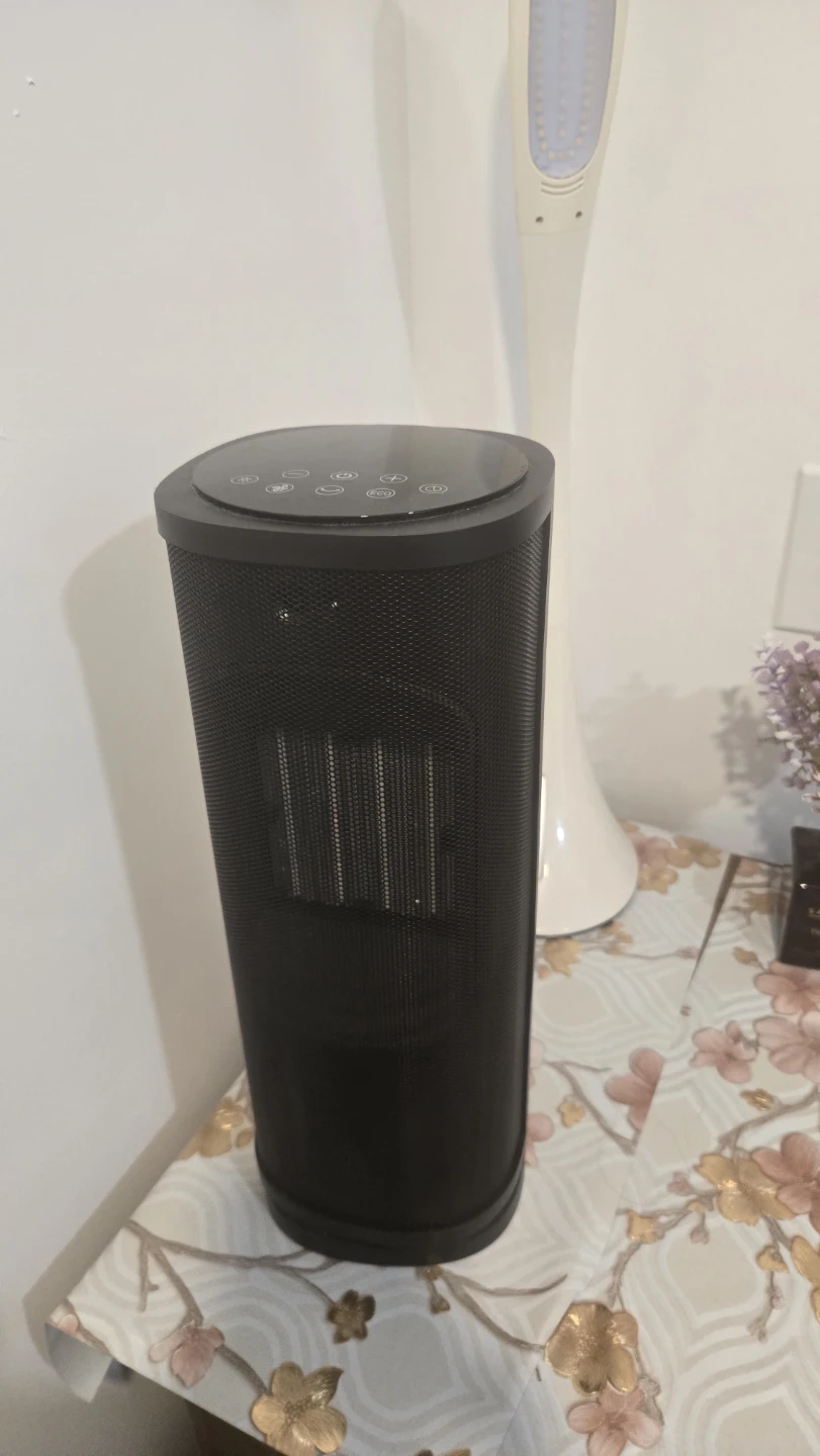 PTC Fan Heater