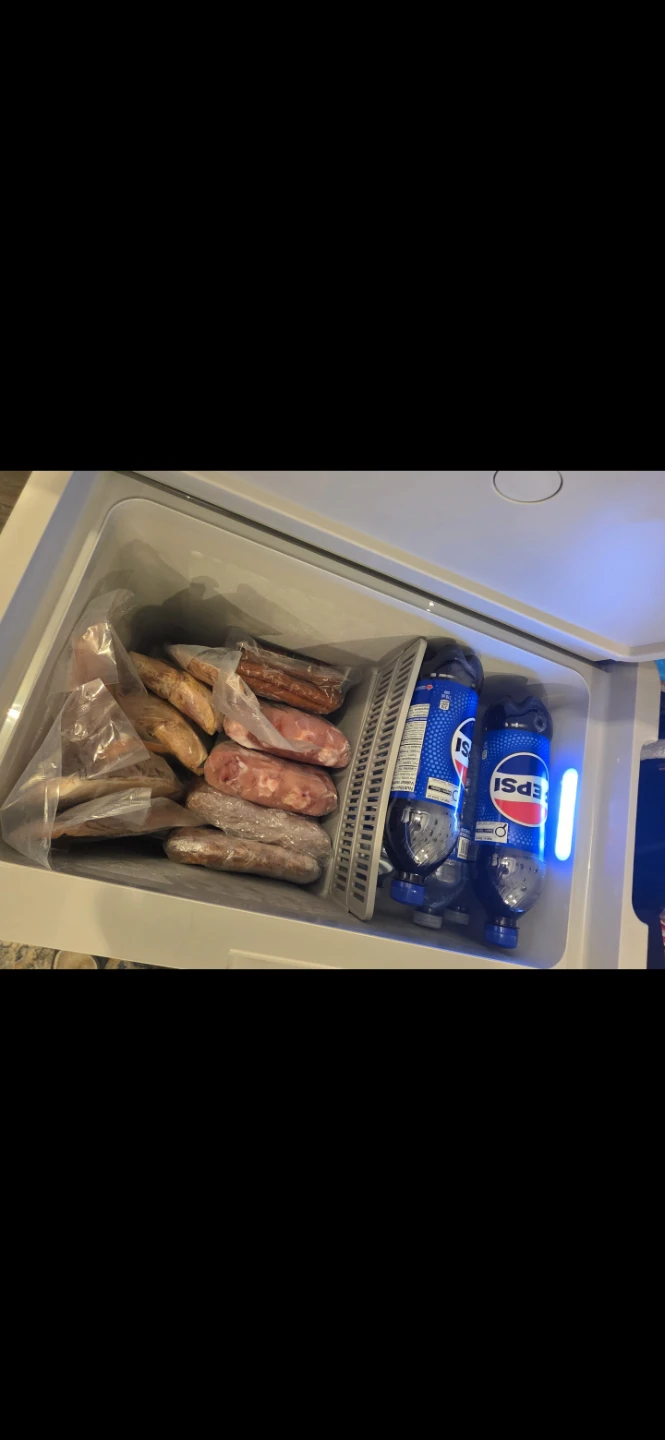 Igloo 32L Iceless Electric Compressor Cooler - photo 3