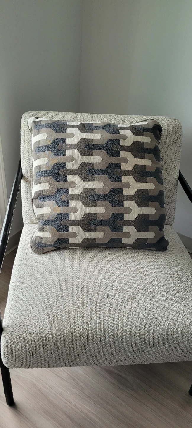 2 Large Accent/Throw Pillows - photo 2