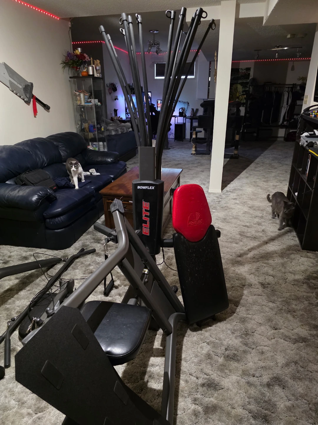 Bowflex Elite Home Gym - photo 2
