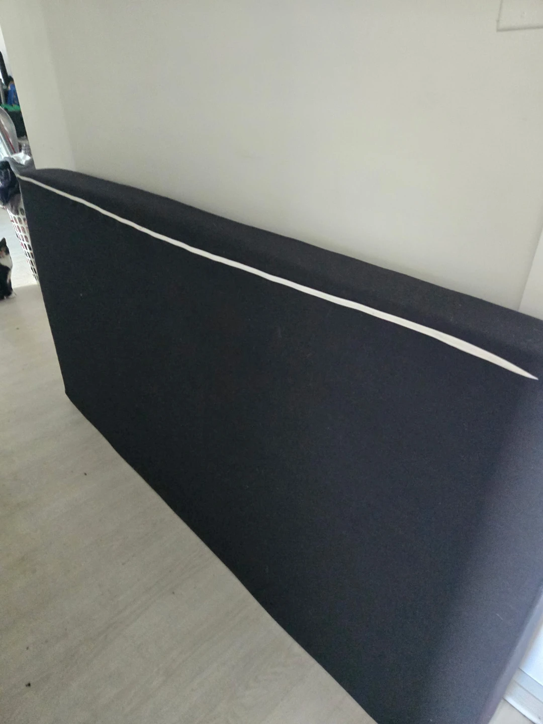 Day bed and 2 single mattresses - photo 2