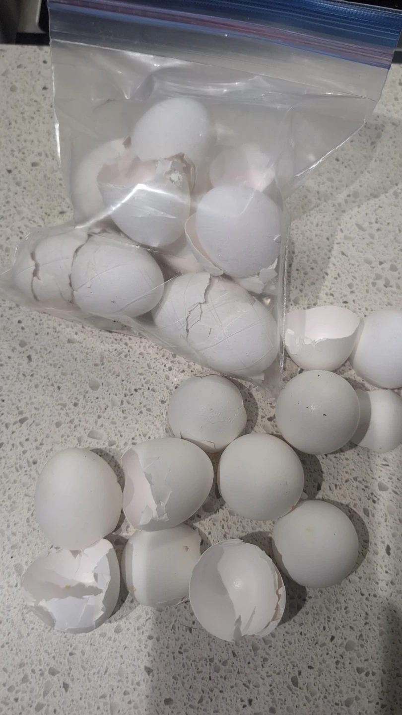 Finely Ground Eggshell Calcium Powder - photo 2
