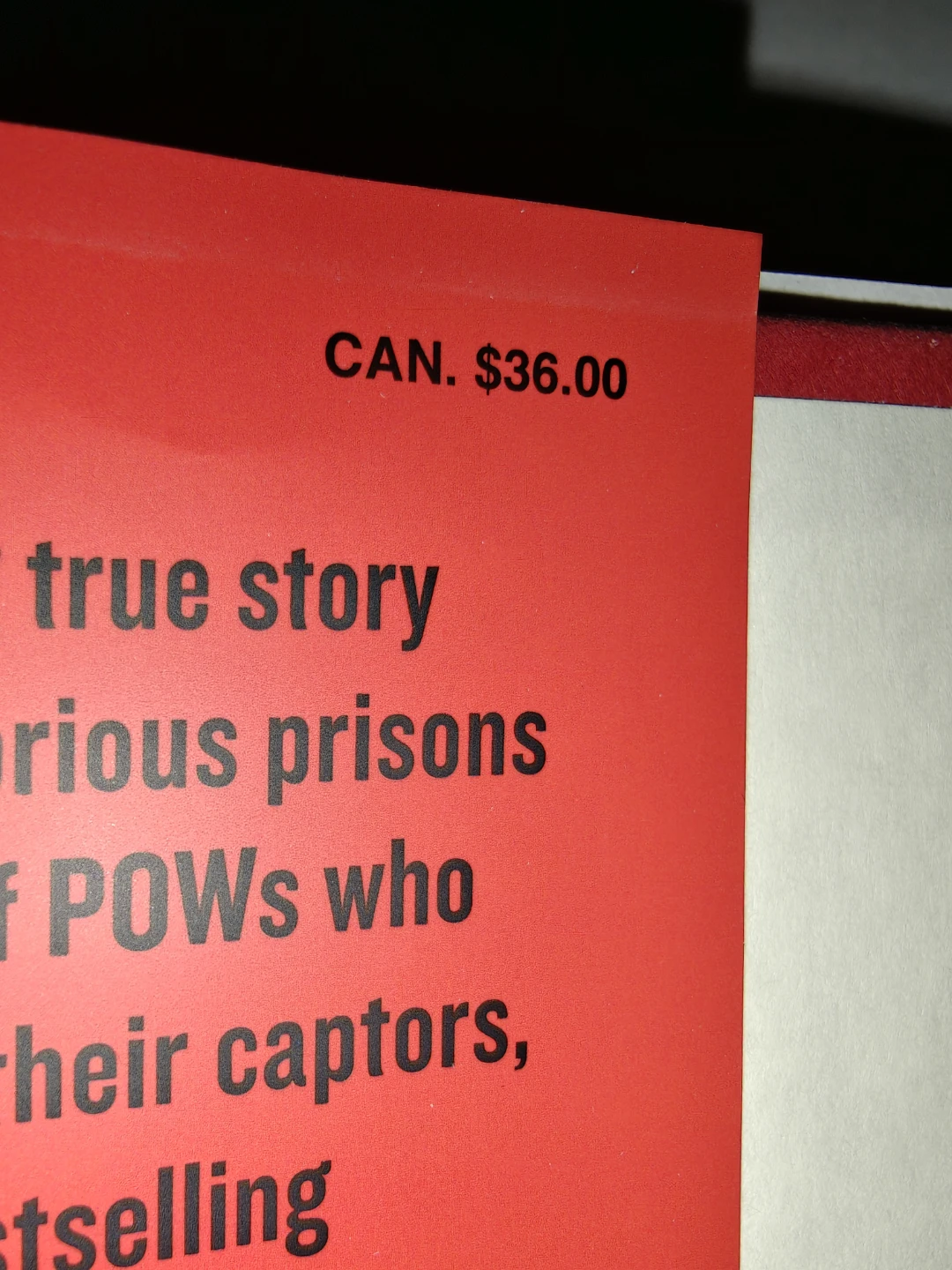 Prisoners of the Castle by Ben Macintyre - photo 3