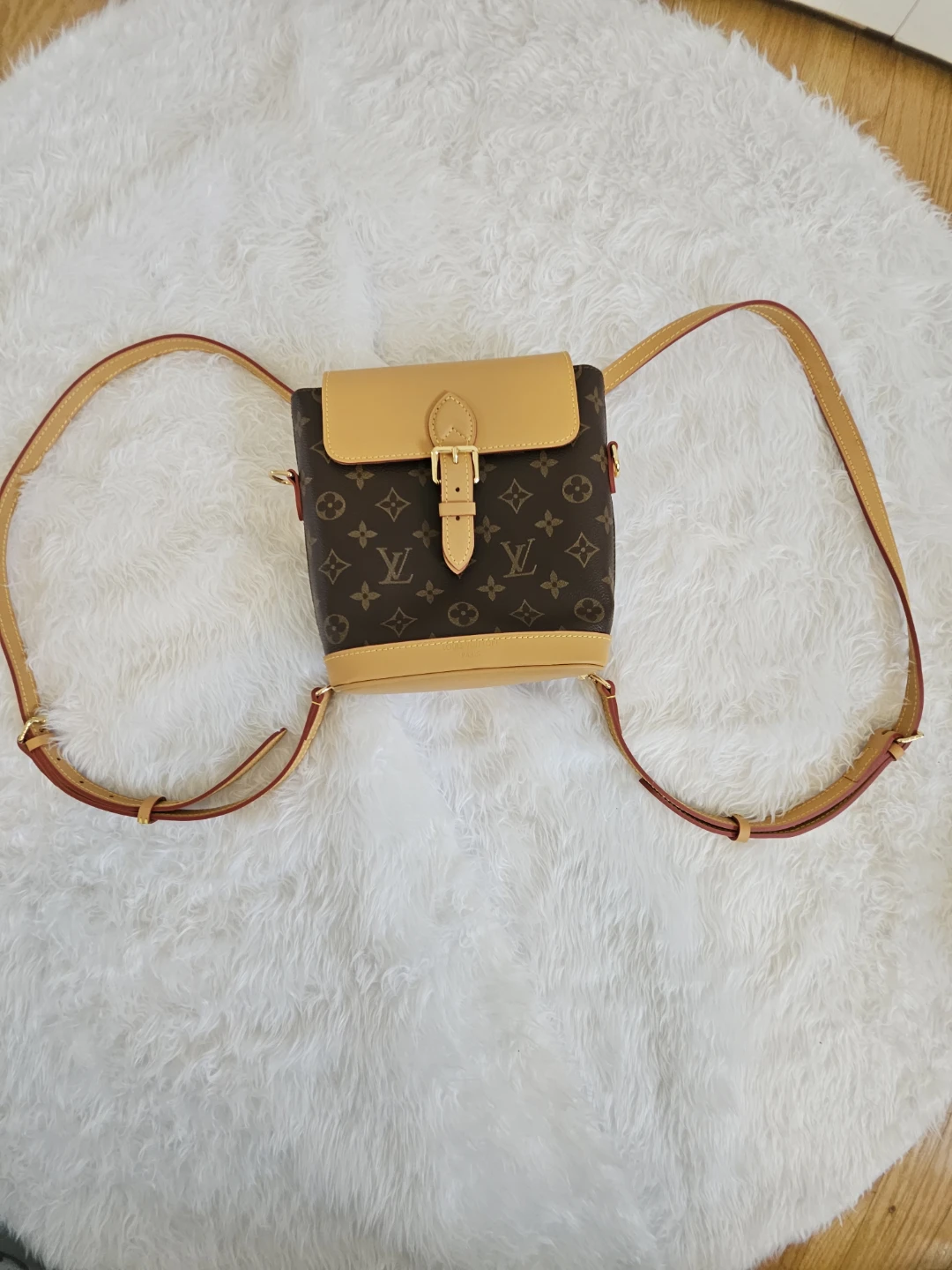 Louis Vuitton Monogram Canvas Bag - photo 2