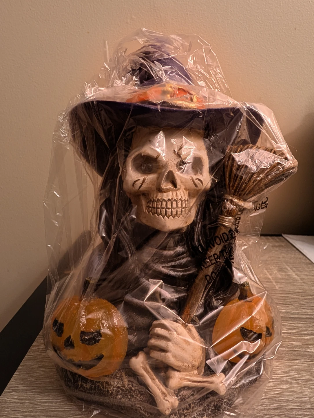 Halloween Witch Skeleton Decor - photo 2