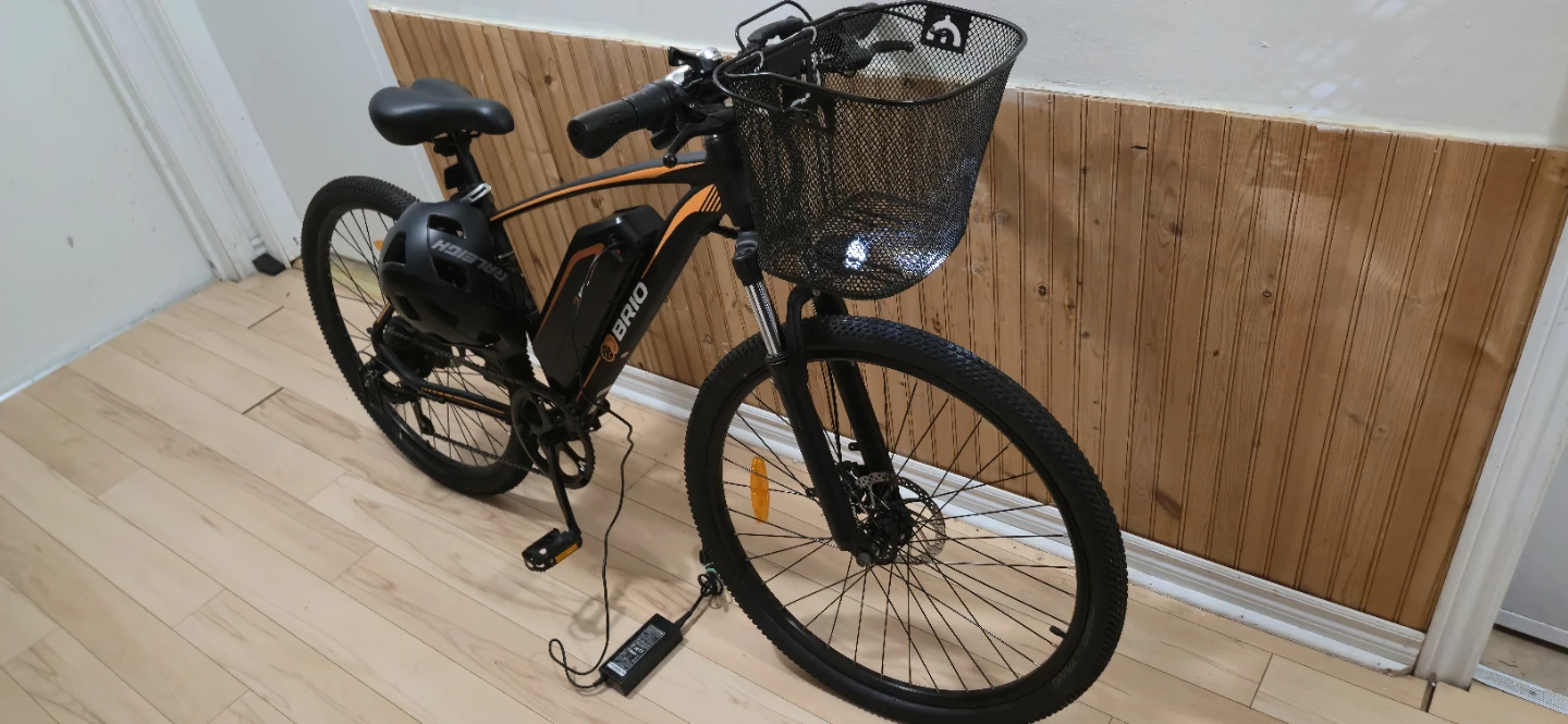 E bike