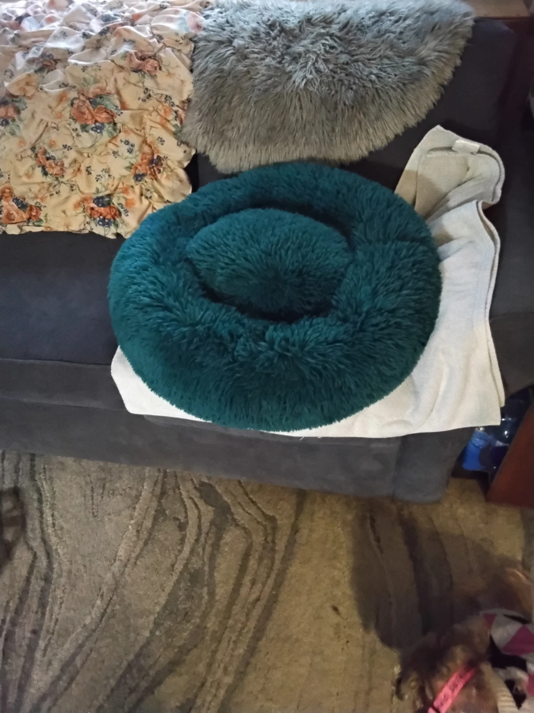 Teal plush round pet bed