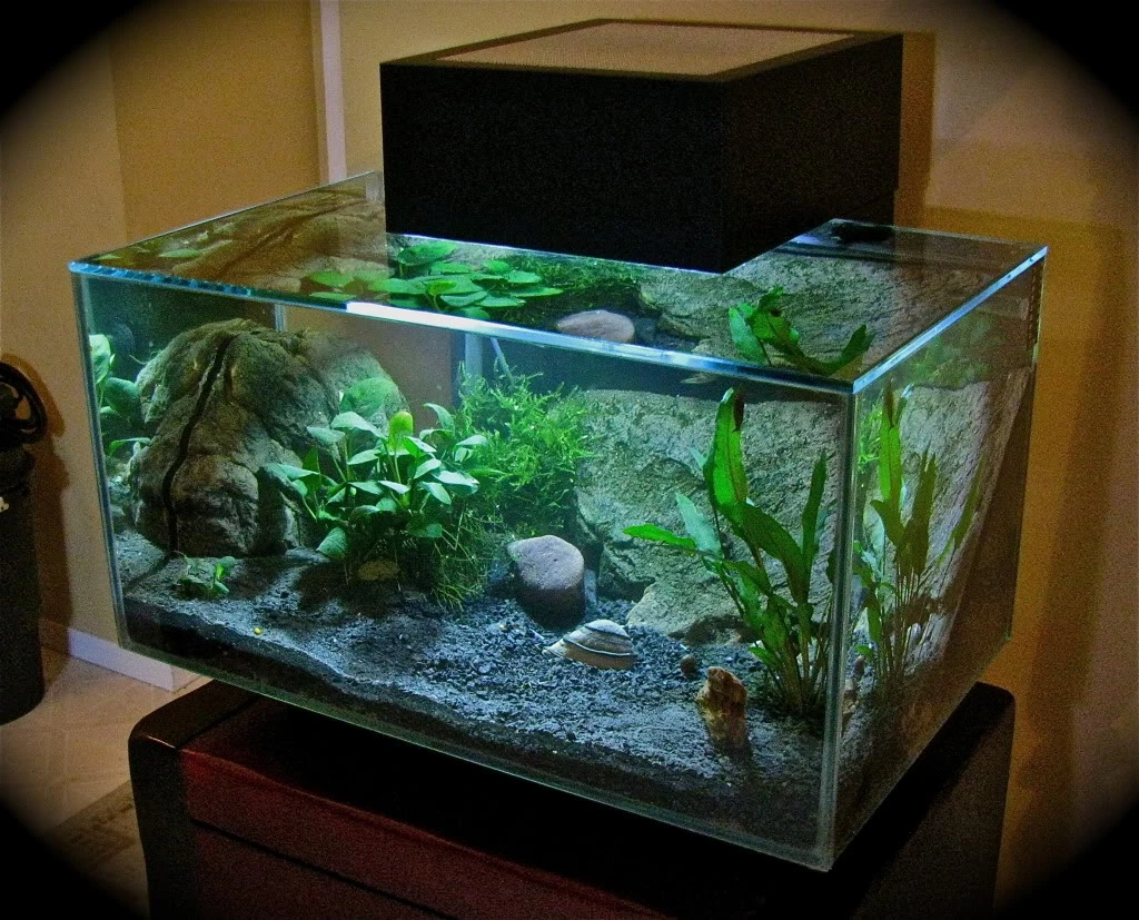Glass Aquarium Tank with Filter/Light Base