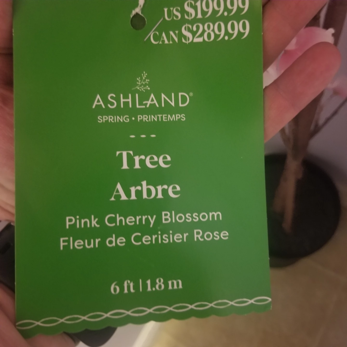 Ashland 6ft Pink Cherry Blossom Trees - photo 4