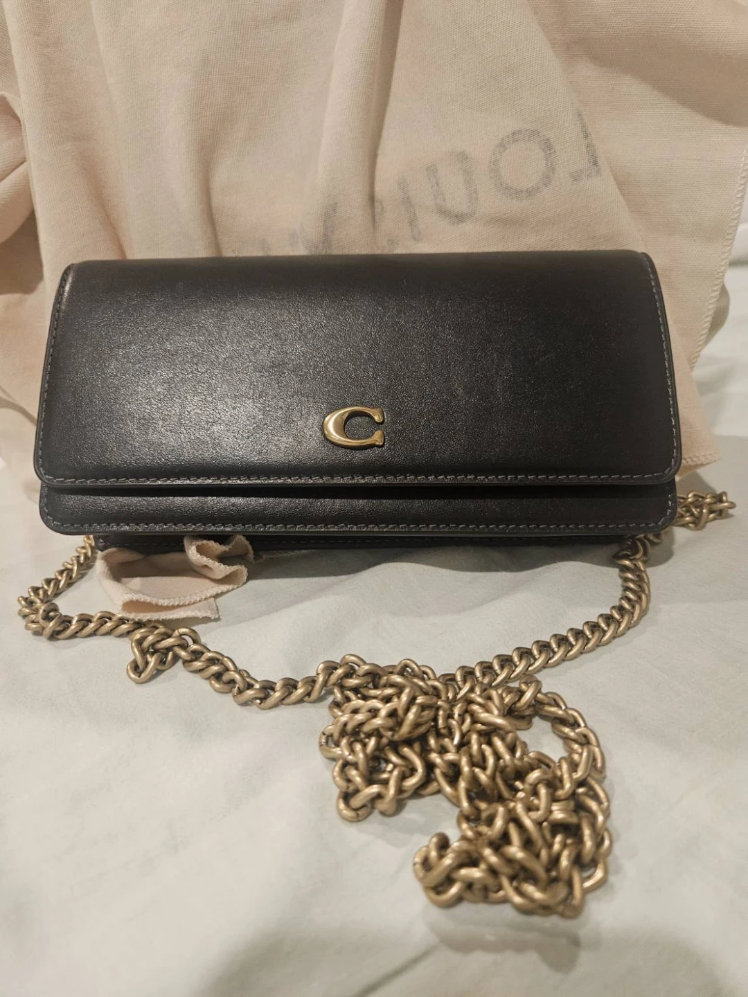 Coach Leather Chain Wallet