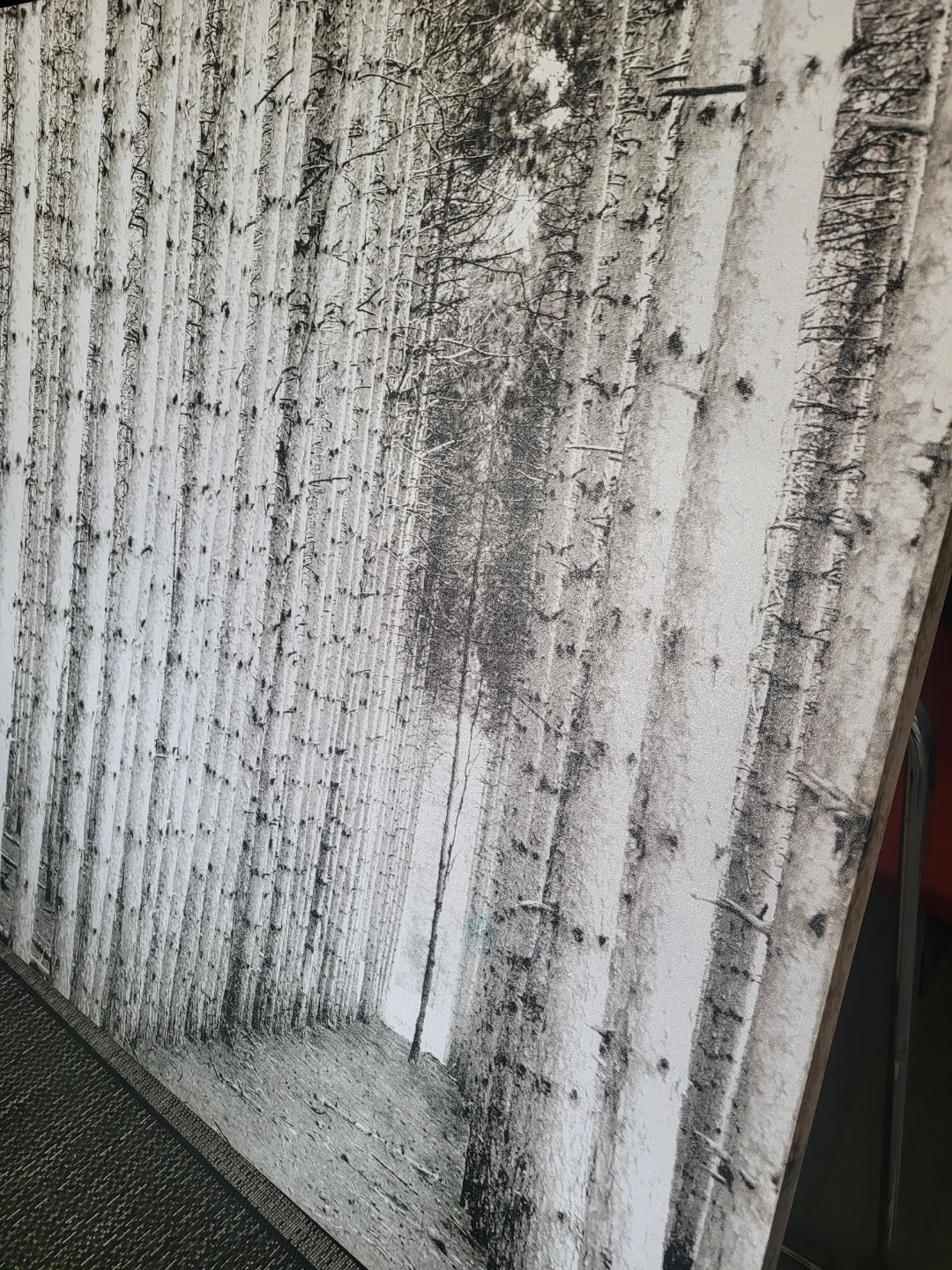 Large 48" x48" Black and White Forest Canvas Art - photo 2