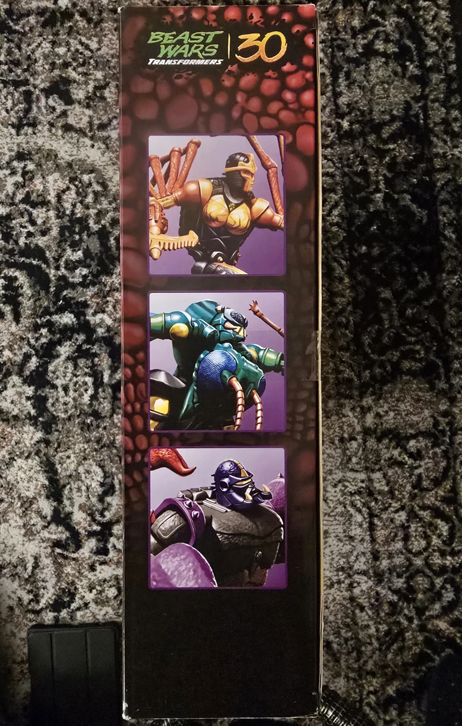 Beast Wars Transformers Predacon Collection Hasbro - photo 3