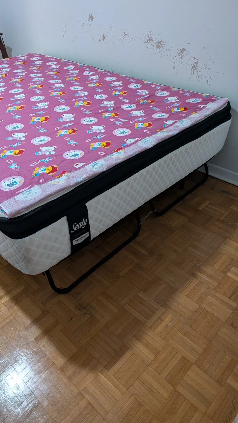 Sealy Platinum Posturepedic Mattress - photo 5