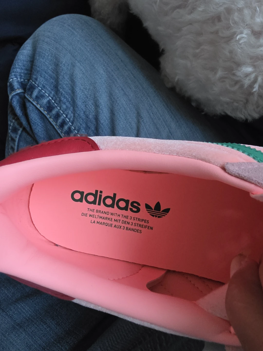 Adidas Gazelle Sneakers