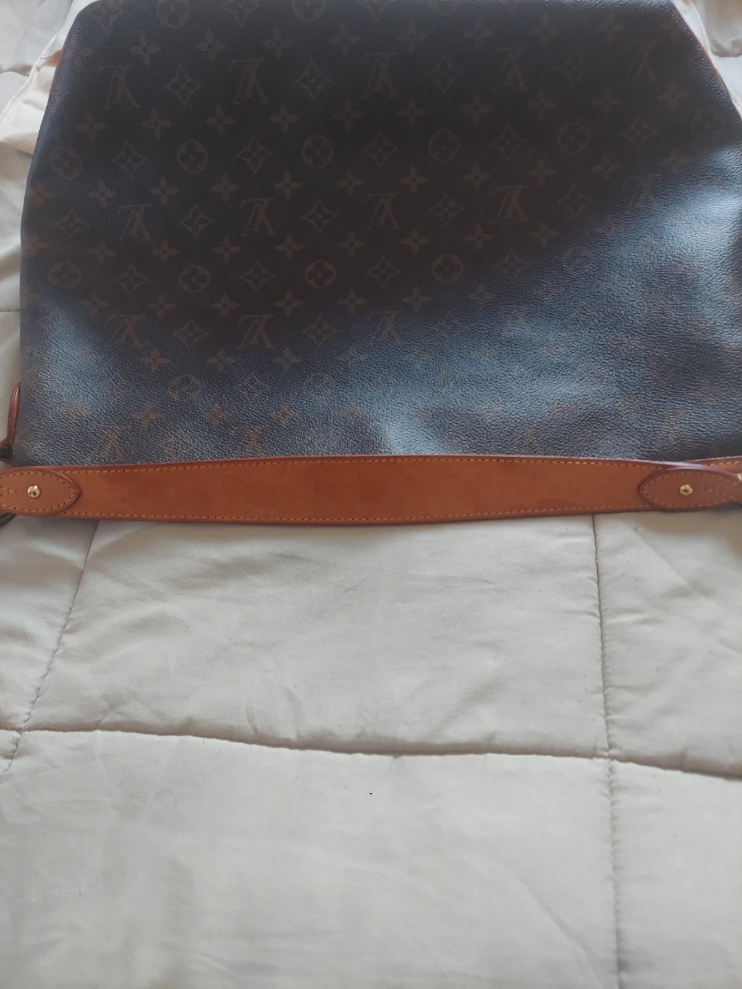 Louis Vuitton Large Monogram Hobo Bag
