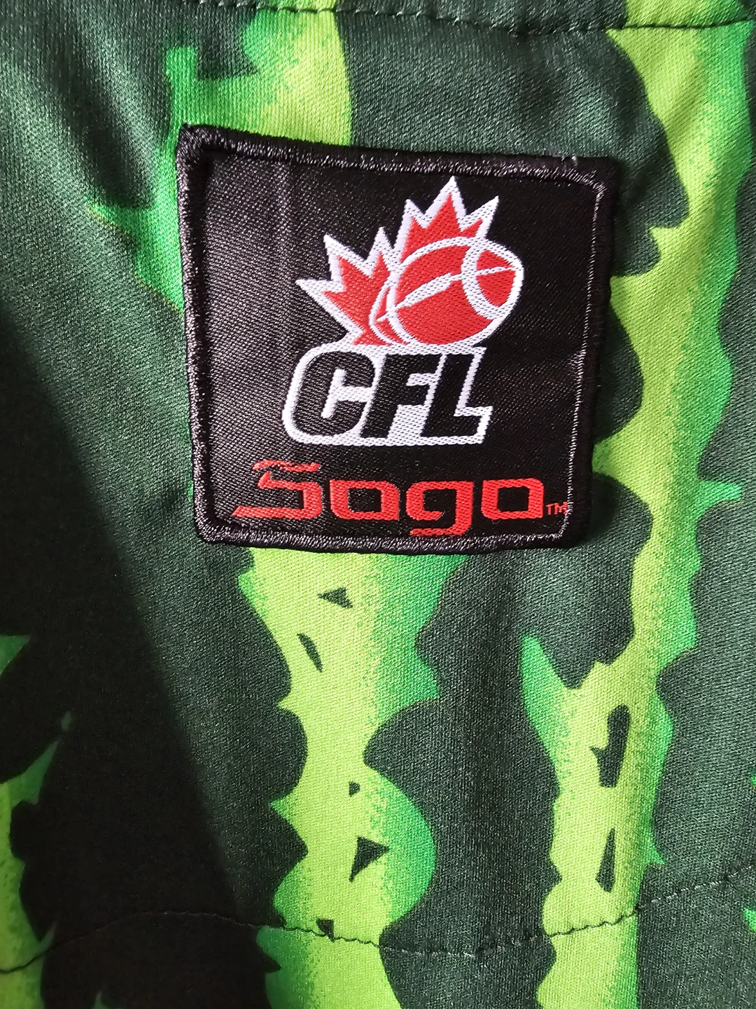Saskatchewan Roughriders CFL Vintage Fan Jersey - photo 2