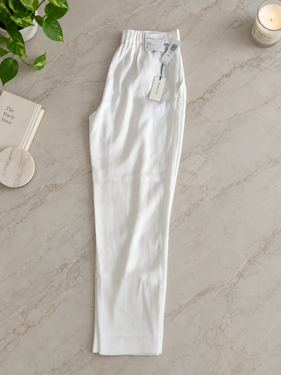 Aritzia Babton pants
