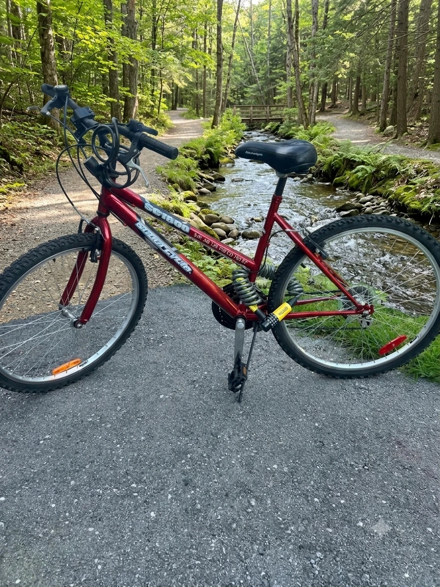 Ladies Supercycle SC1800 Mountain Bike