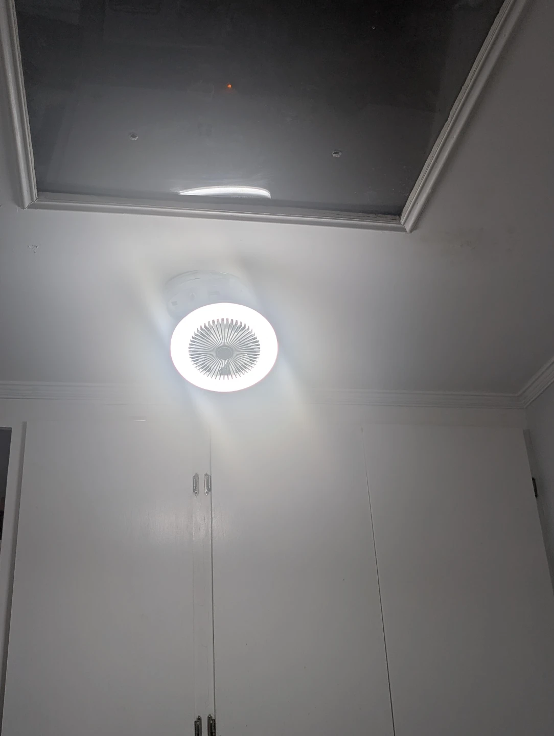 Ceiling Fan Light with Remote - photo 3