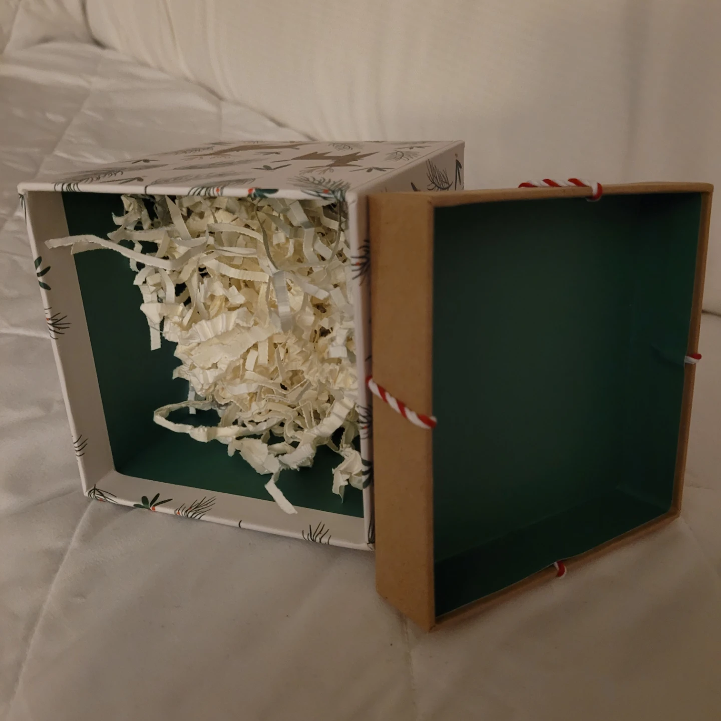 Molly & Rex holiday reindeer gift box - photo 2