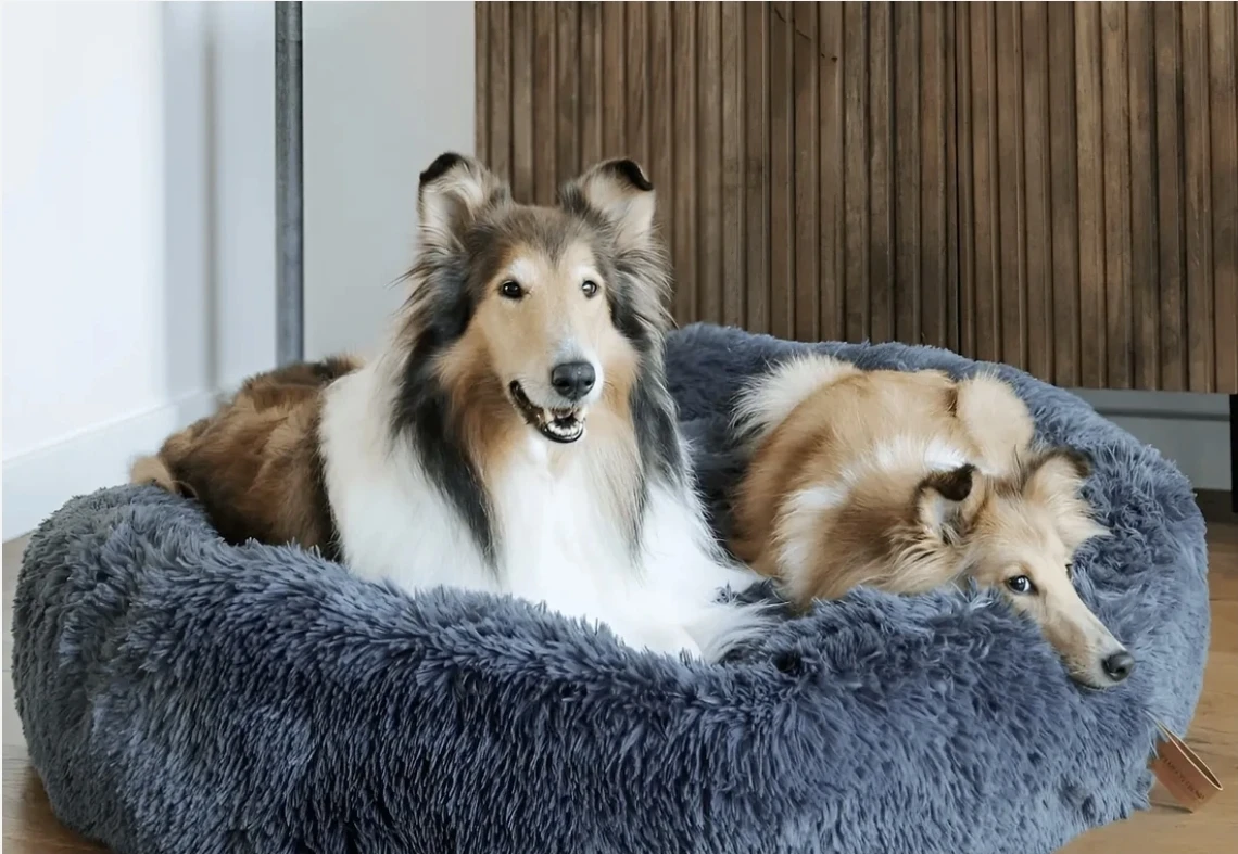 Large Round Shag Dog Bed