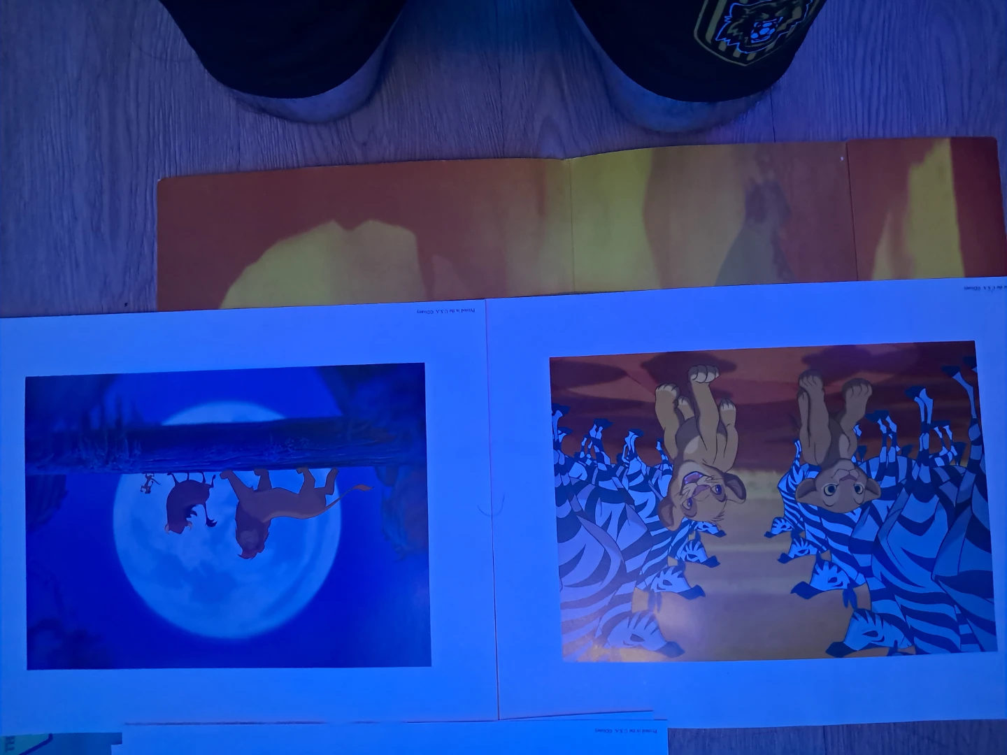 Disney The Rescuers Exclusive Commemorative Lithograph - photo 3