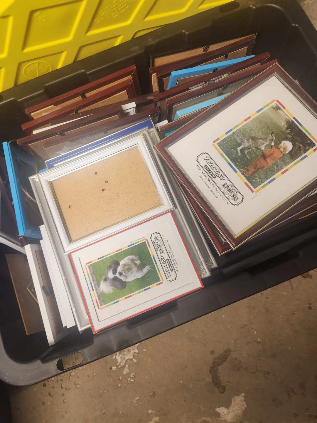 Assorted Telstar Picture Frames