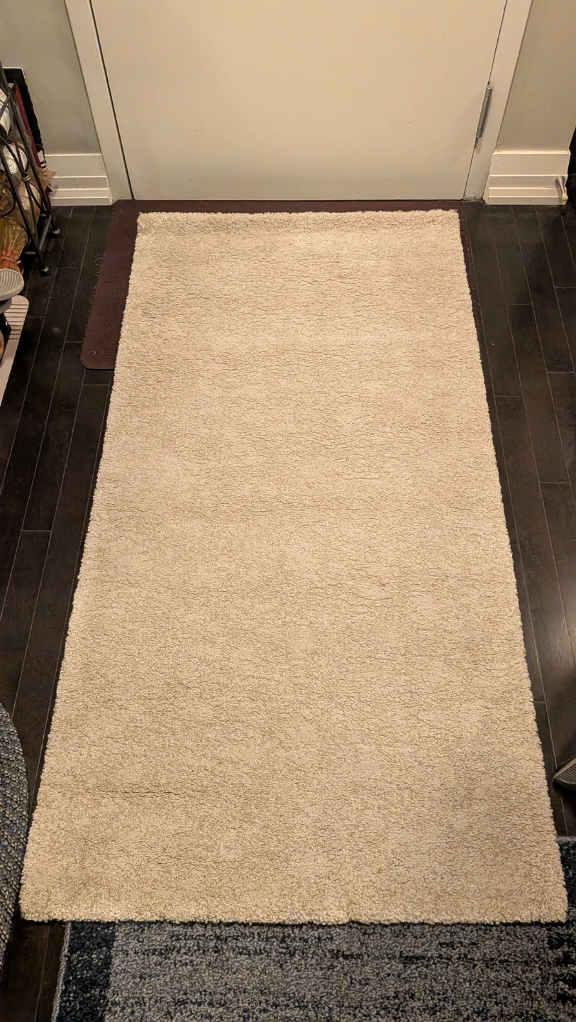 IKEA STOENSE Rug (2'7" x 4'11")