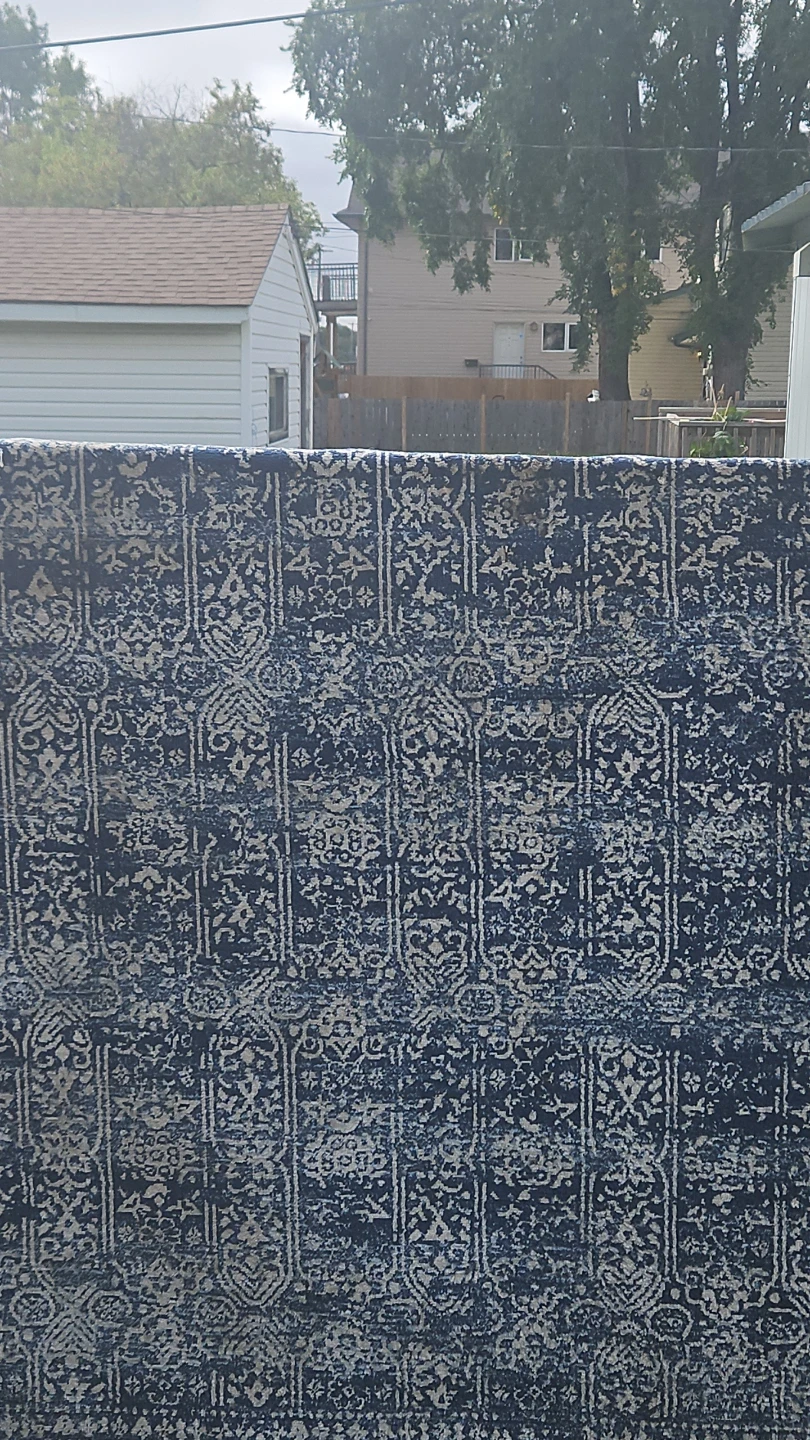 Blue and Cream Oriental Pattern Area Rug - photo 2