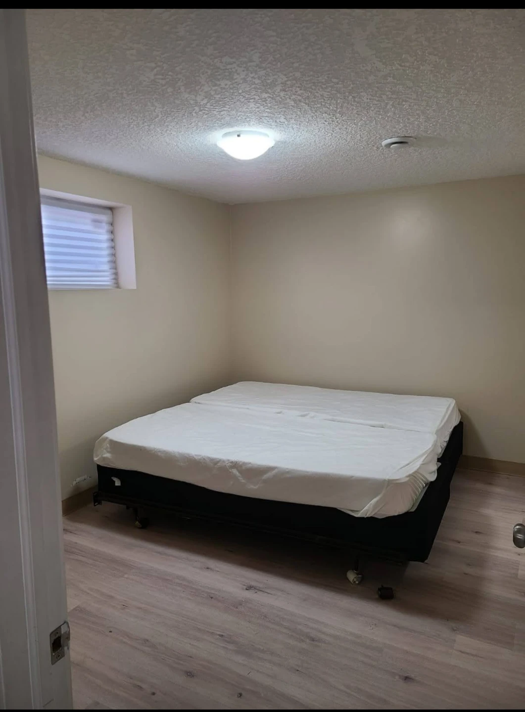 Basement for rent at T5T6W7 - photo 5