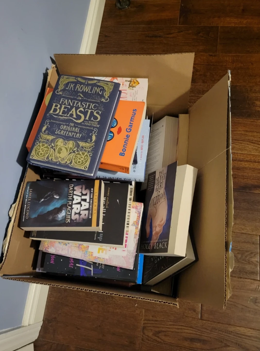 Assorted Young Adult and Fiction Book Collection