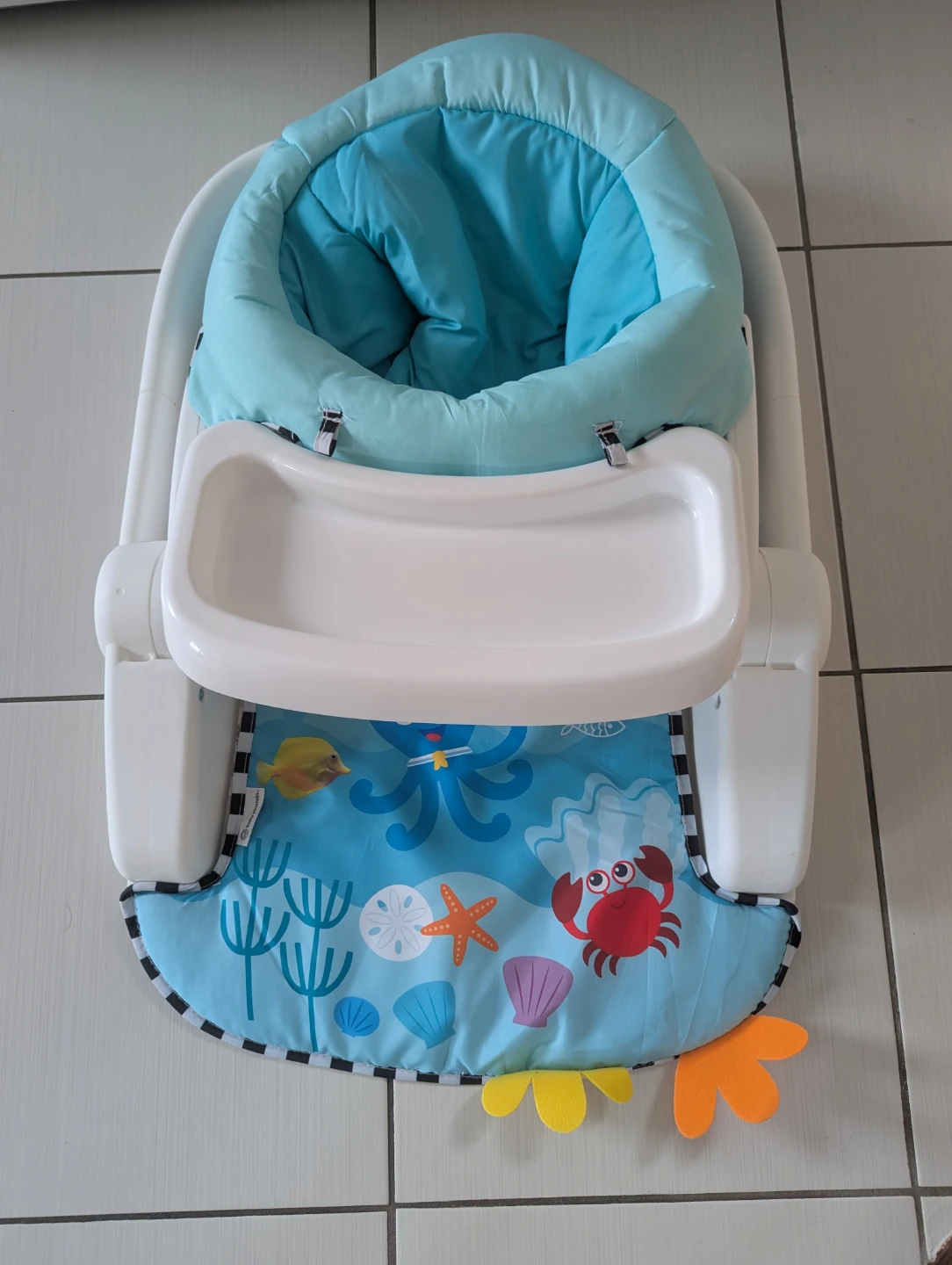 Baby Einstein Sea of Support 2-in-1 Sit-Up Floor Seat