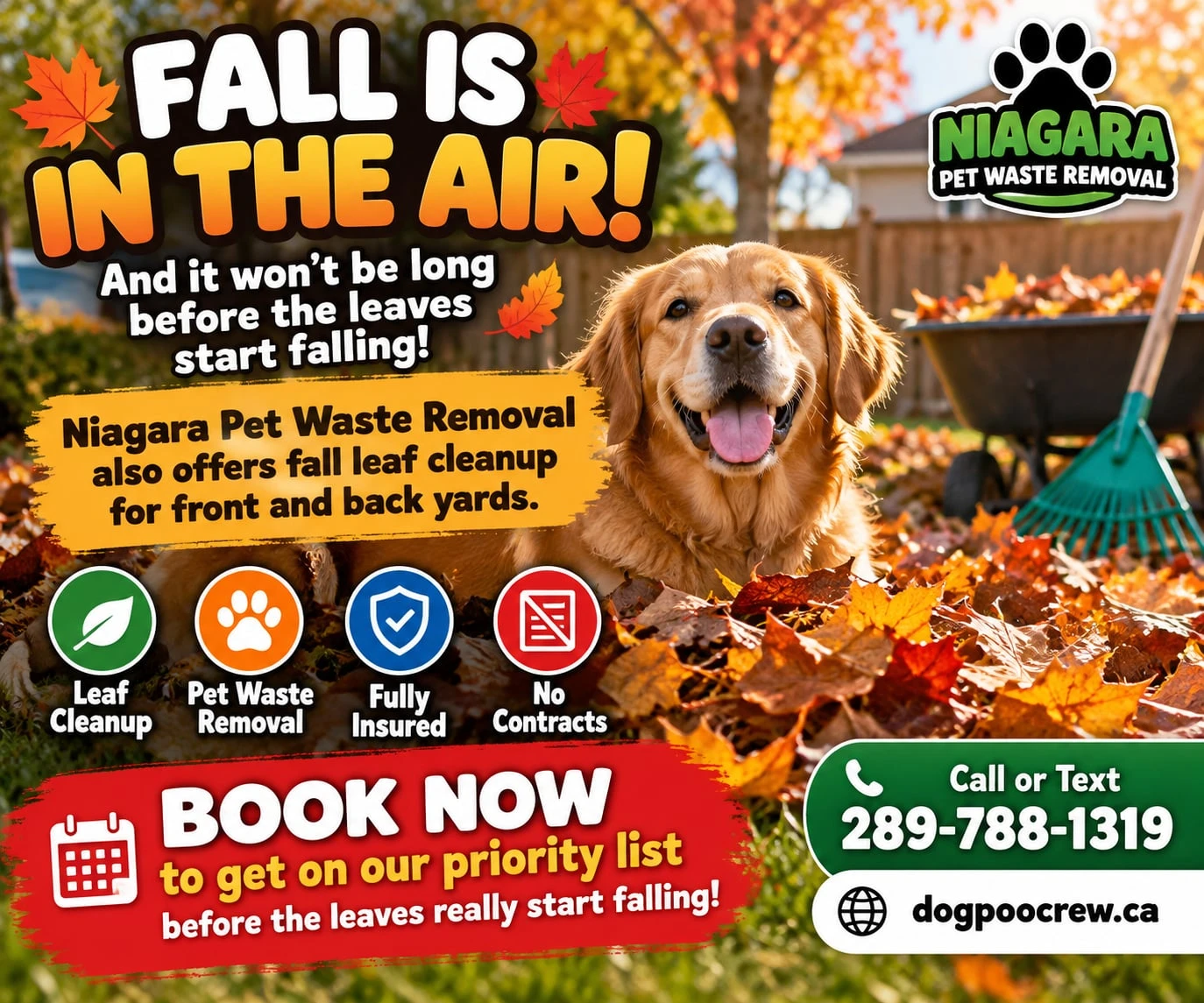 Fall is in the air