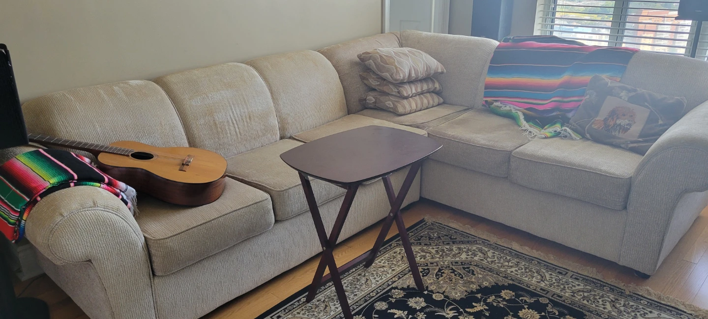 Sectional with pullout bed