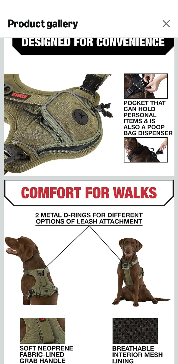 🐕Large dog bundle items! - photo 4