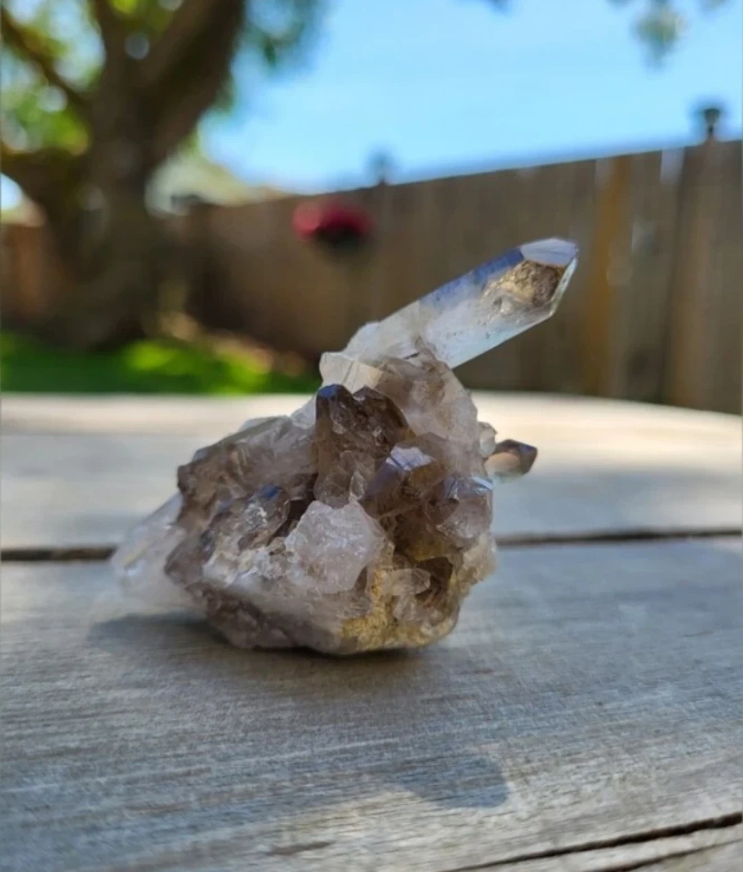 Smoky Quartz Crystal Cluster 🏈 - photo 2