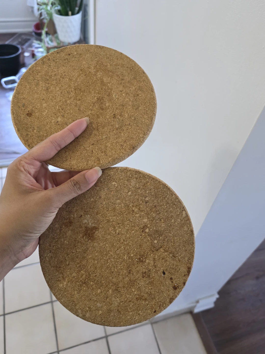 Two Round Cork Trivets - photo 2